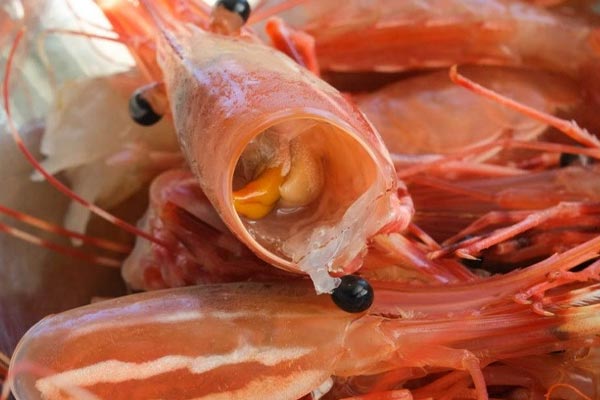 Sai lầm nhiều người mắc phải khi chế biến và ăn tôm